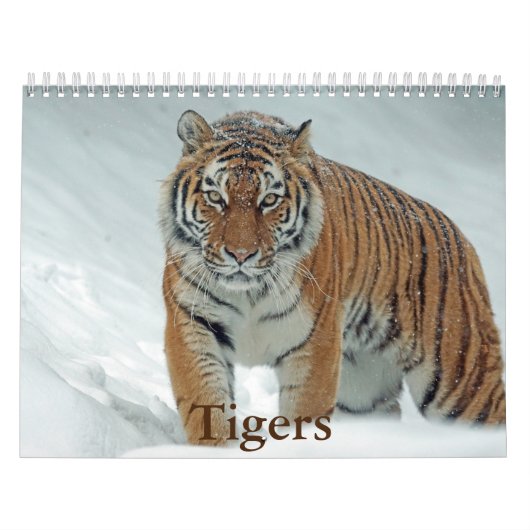 Tijgerkalender Kalender (Hoes)