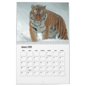 Tijgerkalender Kalender (Jan 2026)