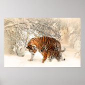 tijgerkub en moeder in sneeuwposter poster (Voorkant)