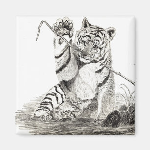 Tijgerkub met magneet