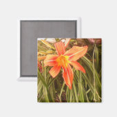 tijgerlelie magneet (Voorkant / Achterkant)