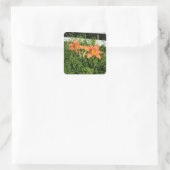  tijgerlelies naast hek vierkante sticker (Tas)