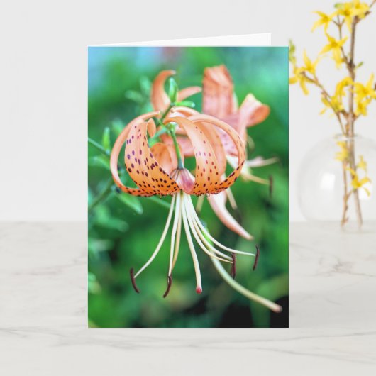 tijgerlib kaart (Gele Bloem)