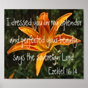 tijgerlibel vers Ezekiel 16:14 Poster