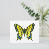 tijgermoerasmat briefkaart (Staand voorkant)