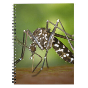 Tijgermug Notitieboek