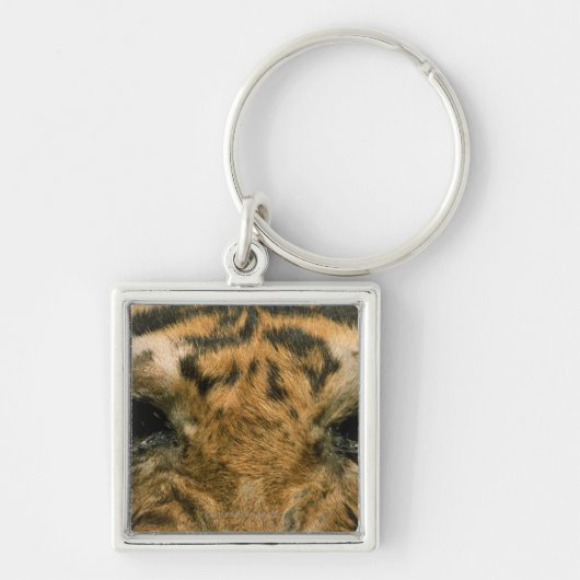 Tijgerogen Sleutelhanger (Voorkant)