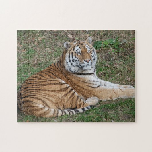 Tijgerpuzzel Legpuzzel (Horizontaal)