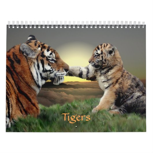 Tijgers Kalender (Hoes)