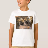 Tijgers Kat Dier Strepen Patroon Paw Prints