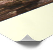  tijgerschilderen (1909) poster (Hoek)