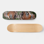 tijgerskateboard skateboard (Horizontaal)