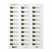 Tijgerslib naast Cleome Etiket (Full Sheet)