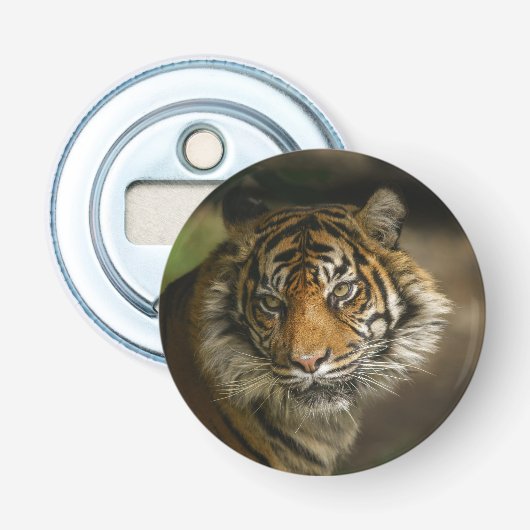 Tijgerstaart Button Flesopener (Voorkant)