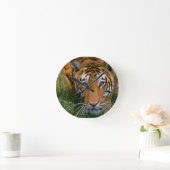 Tijgerstalking Ronde Klok (Huis)