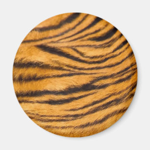 Tijgerstrepen Vacht Zwart en Oranje Personaliseer Magneet