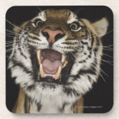 Tijgerteelt 2 drankjes onderzetter (Voorkant)