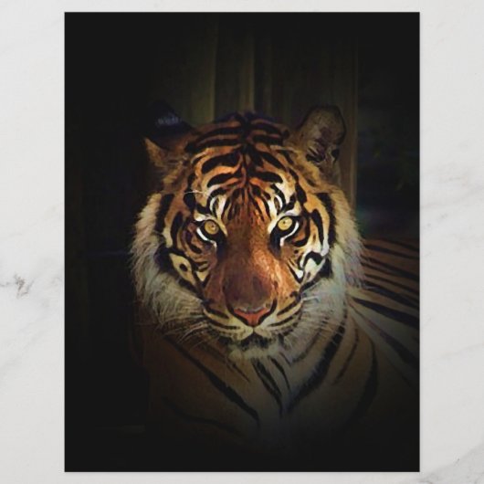 tijgervlieger flyer (Voorkant)