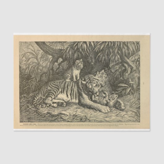 Tijgerwelp Ephemera Decoupage Tissuepapier (Voorkant)