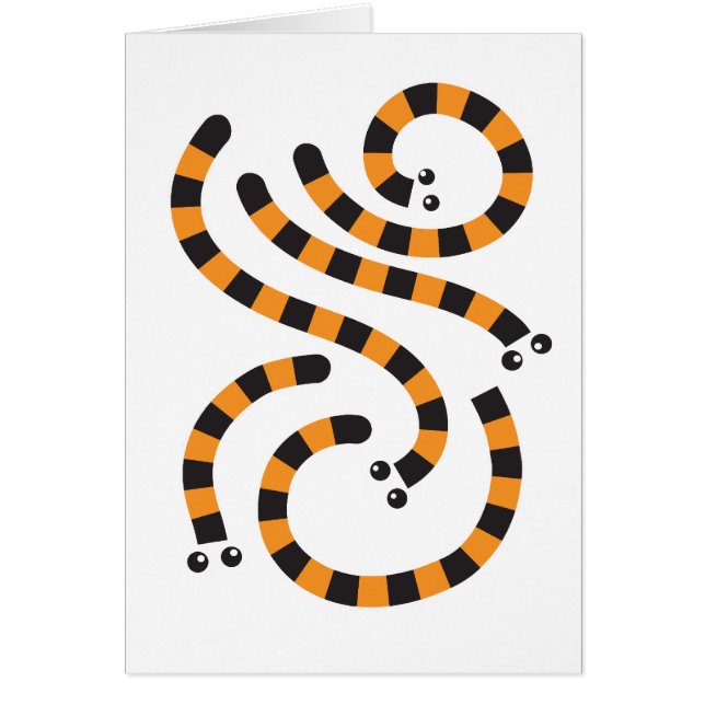 tijgerworm (Voorkant)