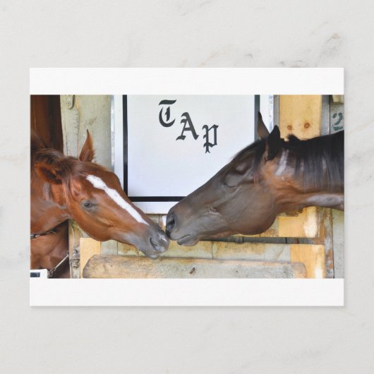 Tik me af briefkaart (Voorkant)