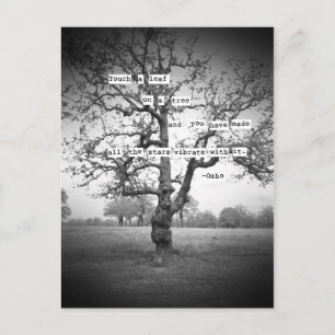 Tik op een blad... briefkaart