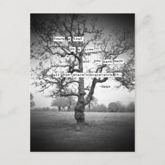 Tik op een blad... briefkaart