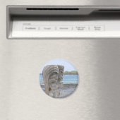 Tiki Guardians à Kona, Hawaii - Magnet (In Situ (Lave-vaisselle))