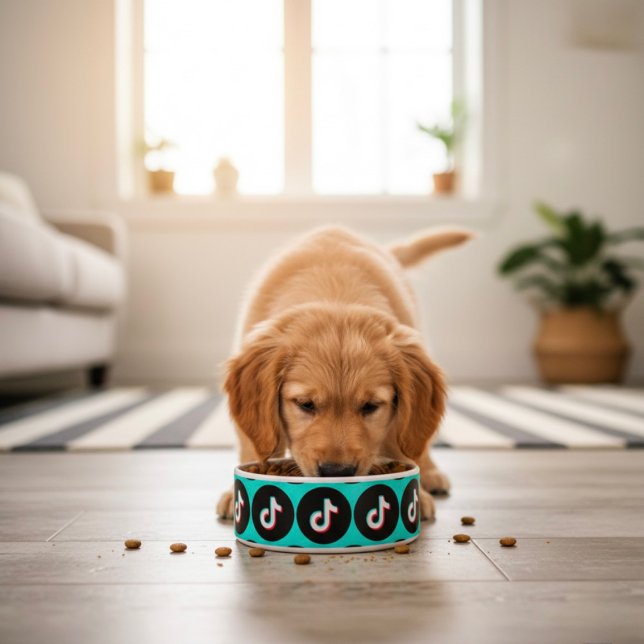 TikTok Bowl Voerbakje (Creator heeft geüpload)