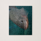 Tilapia Close-up Legpuzzel (Verticaal)