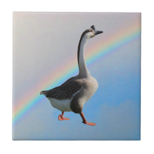 Tile - Goose en regenboog Tegeltje
