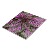 Tile - Perzisch schild Tegeltje (Zijkant)