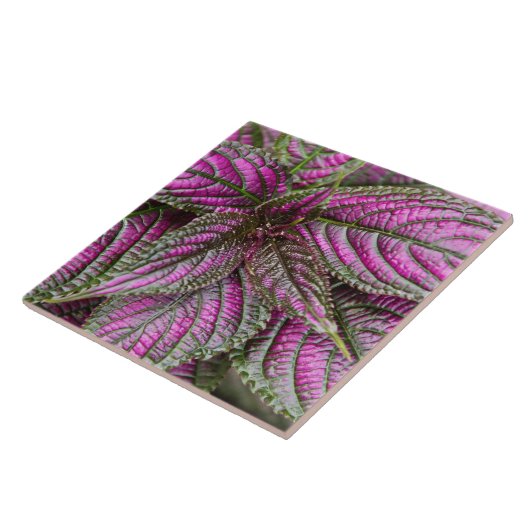 Tile - Perzisch schild Tegeltje (Zijkant)