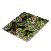 Tile - Pink Polka Dot Plant Tegeltje (Zijkant)