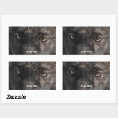 TIMBER WOLF EYES Stickers de soutien de la faune (Feuille)