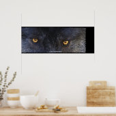 Timber Wolf Eyes Wildlife Foto Art Poster (Keuken)
