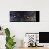 Timber Wolf Eyes Wildlife Foto Art Poster (Thuiskantoor)