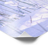 Timber Wolf in de sneeuw, Canis lupus, Foto Afdruk (Hoek)