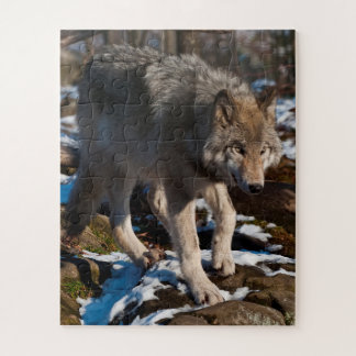 Timber Wolf Jigzaag Puzzle Legpuzzel