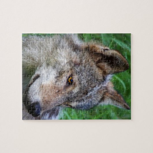 Timber Wolf Legpuzzel (Horizontaal)