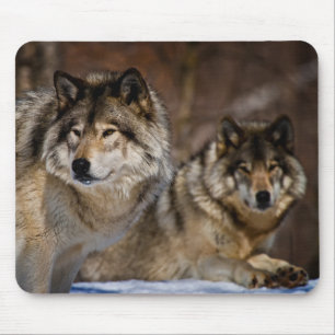 Timber Wolf Muismat