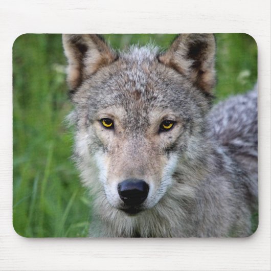 Timber Wolf Muismat (Voorkant)
