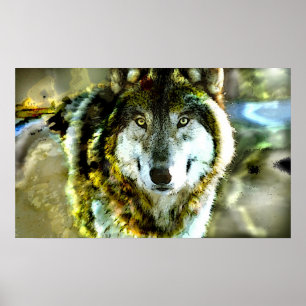 Timber-Wolf Poster van JungleWalk.com