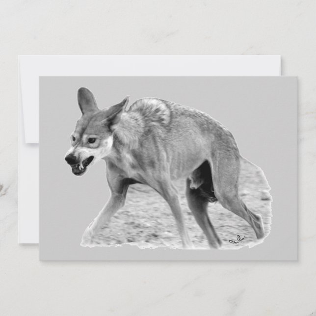 Timber Wolf Snarl (Voorkant)