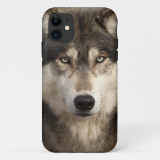 Timber wolf van Jim Zuckerman iPhone 11 Hoesje