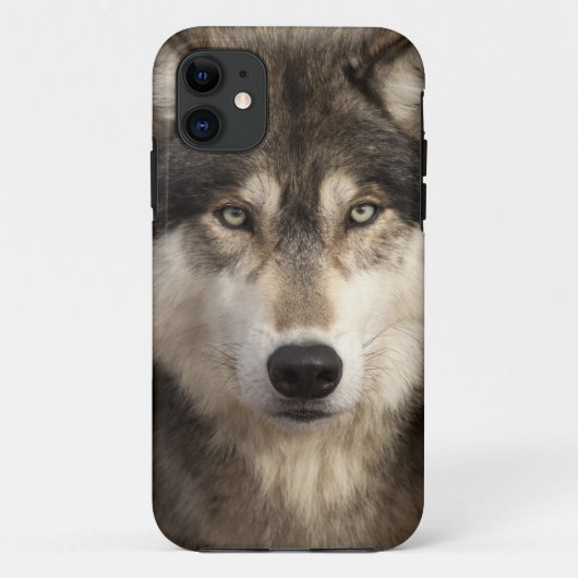 Timber wolf van Jim Zuckerman Case-Mate iPhone Case (Achterkant)