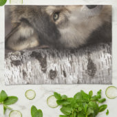 Timber wolf van Jim Zuckerman Theedoek (Gevouwen)