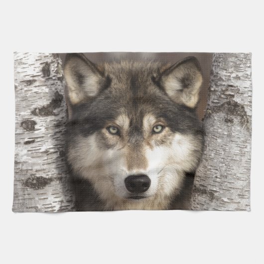 Timber wolf van Jim Zuckerman Theedoek (Horizontaal)