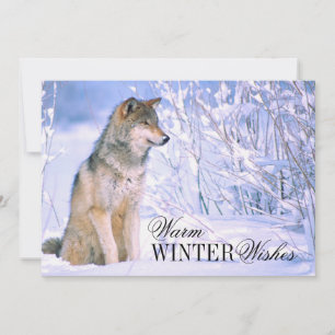 Timber Wolf-vergadering in sneeuw Feestdagenkaart