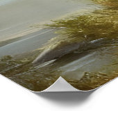 Timber Wolf Wildlife Portret Poster (Hoek)